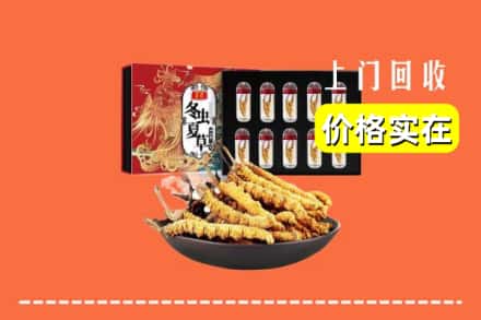 五通桥区回收冬虫夏草